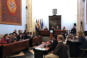 Pleno extraordinario para aprobar fondo de contingencia