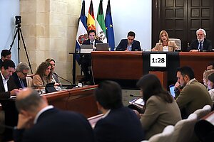 pleno