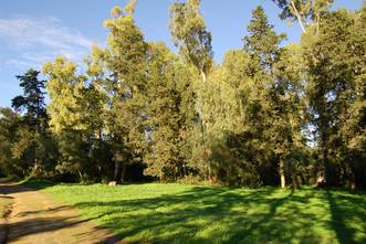 Imagen del Parque de Santa Teresa