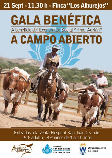 Cartel de la gala benéfica