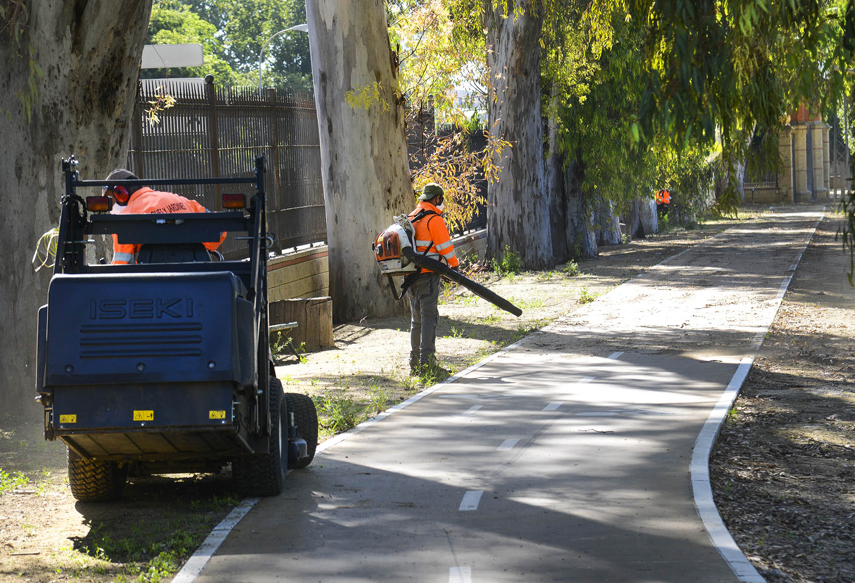 Carril bici