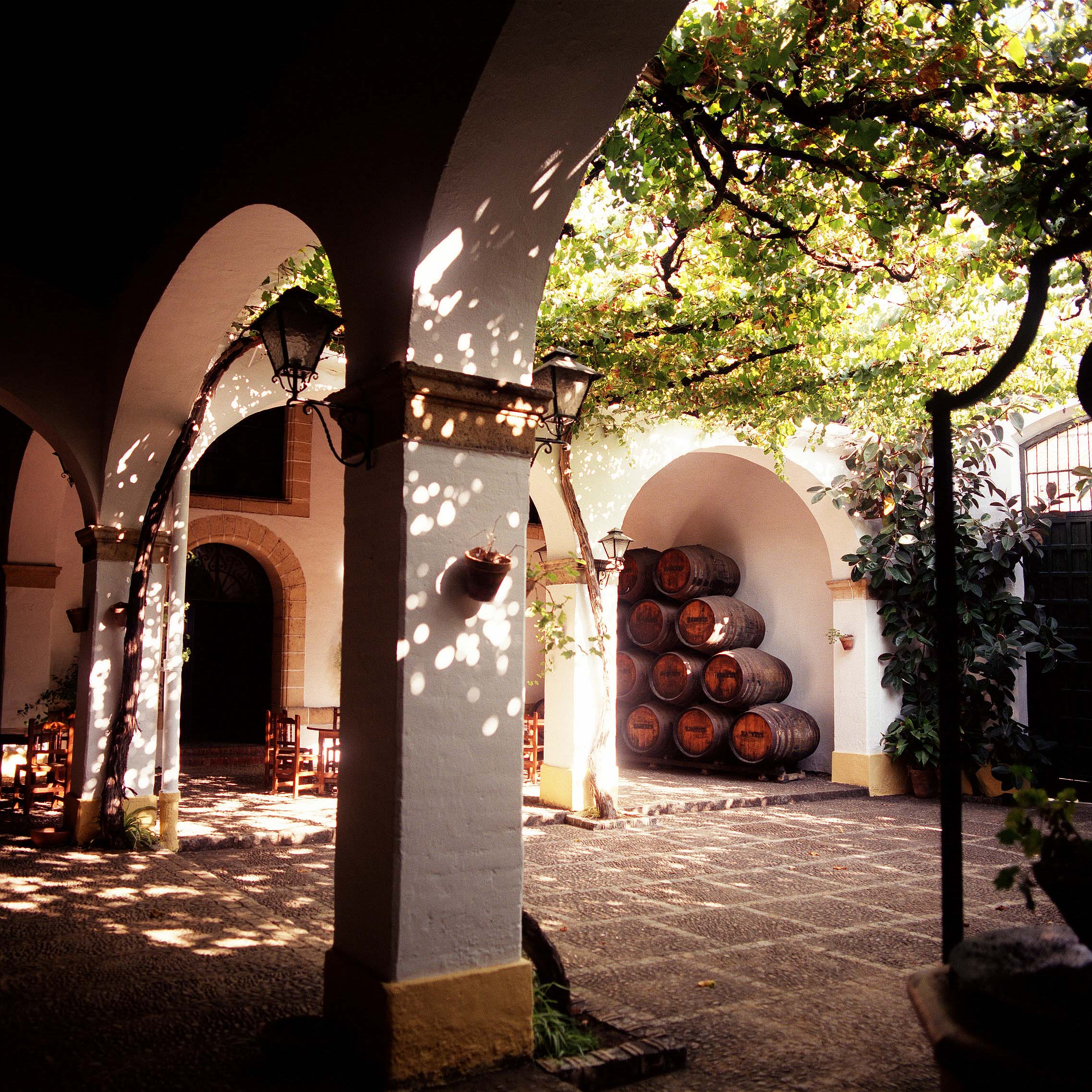Fiestas de la Vendimia en Jerez 2021