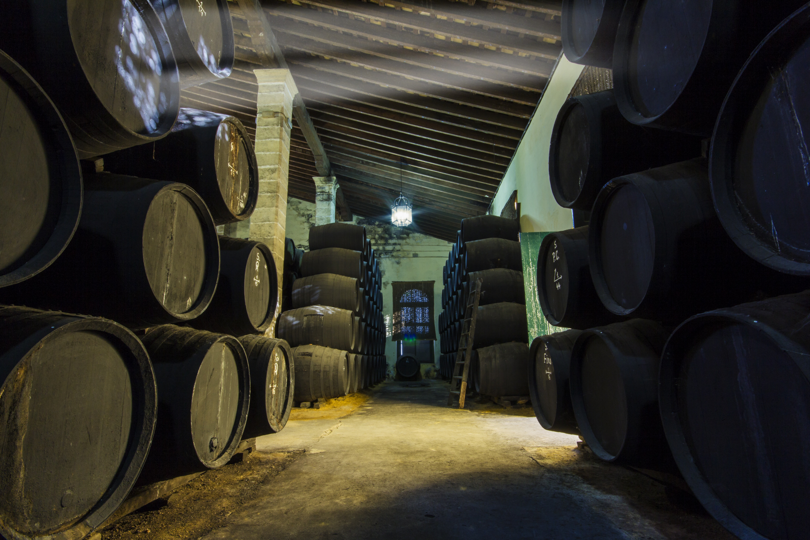 Fiestas de la Vendimia en Jerez 2021