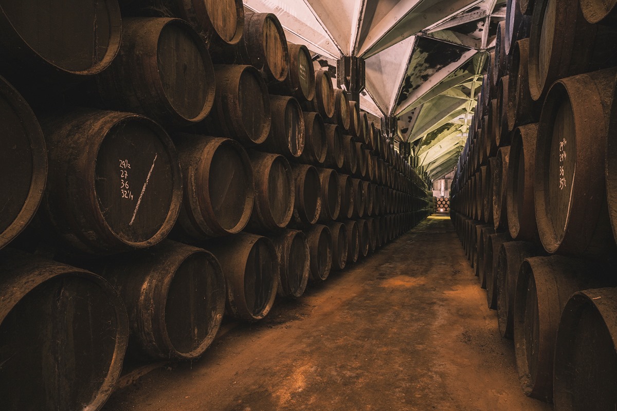 Fiestas de la Vendimia de Jerez